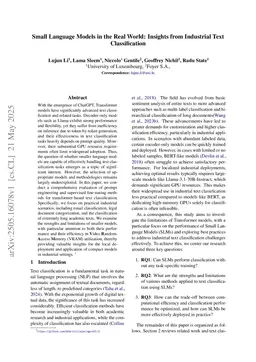 Small Language Models in the Real World: Insights from Industrial Text Classification