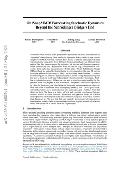 Oh SnapMMD! Forecasting Stochastic Dynamics Beyond the Schrödinger Bridge's End