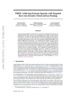 TRIM: Achieving Extreme Sparsity with Targeted Row-wise Iterative Metric-driven Pruning