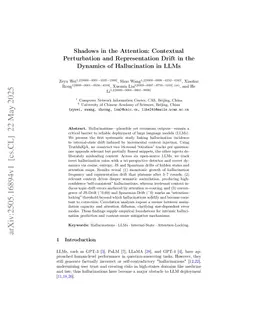 Shadows in the Attention: Contextual Perturbation and Representation Drift in the Dynamics of Hallucination in LLMs