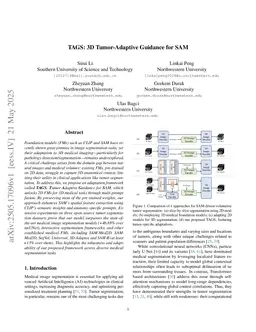 TAGS: 3D Tumor-Adaptive Guidance for SAM