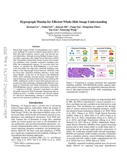 Hypergraph Mamba for Efficient Whole Slide Image Understanding