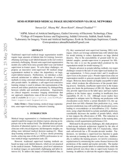 Semi-Supervised Medical Image Segmentation via Dual Networks
