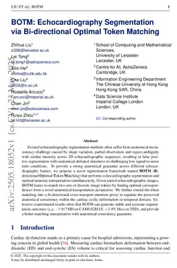 BOTM: Echocardiography Segmentation via Bi-directional Optimal Token Matching