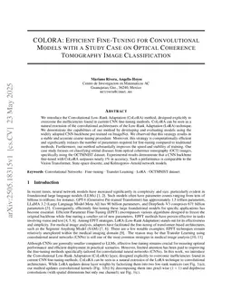 COLORA: Efficient Fine-Tuning for Convolutional Models with a Study Case on Optical Coherence Tomography Image Classification