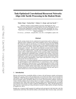 Task-Optimized Convolutional Recurrent Networks Align with Tactile Processing in the Rodent Brain