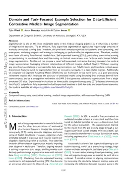 Domain and Task-Focused Example Selection for Data-Efficient Contrastive Medical Image Segmentation