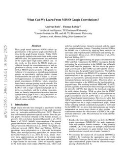 What Can We Learn From MIMO Graph Convolutions?