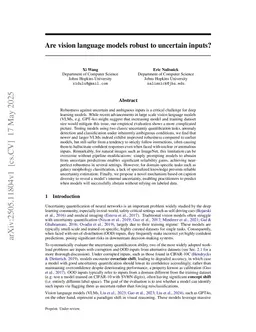 Are vision language models robust to uncertain inputs?