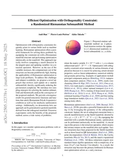 Efficient Optimization with Orthogonality Constraint: a Randomized Riemannian Submanifold Method