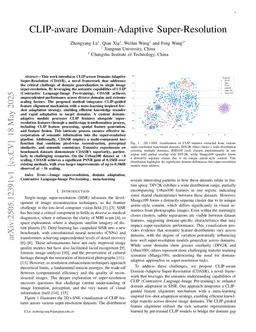 CLIP-aware Domain-Adaptive Super-Resolution