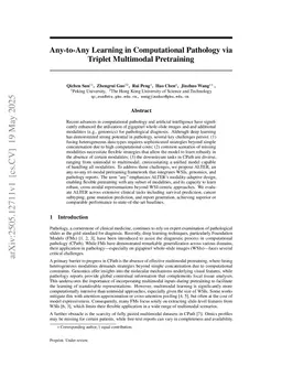 Any-to-Any Learning in Computational Pathology via Triplet Multimodal Pretraining