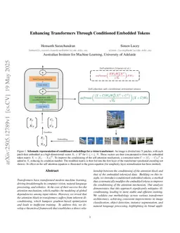 Enhancing Transformers Through Conditioned Embedded Tokens