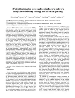 Efficient training for large-scale optical neural network using an evolutionary strategy and attention pruning