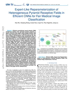 Expert-Like Reparameterization of Heterogeneous Pyramid Receptive Fields in Efficient CNNs for Fair Medical Image Classification
