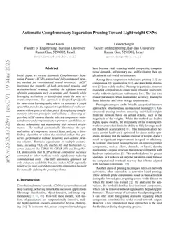 Automatic Complementary Separation Pruning Toward Lightweight CNNs