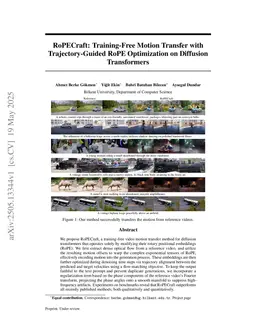 RoPECraft: Training-Free Motion Transfer with Trajectory-Guided RoPE Optimization on Diffusion Transformers