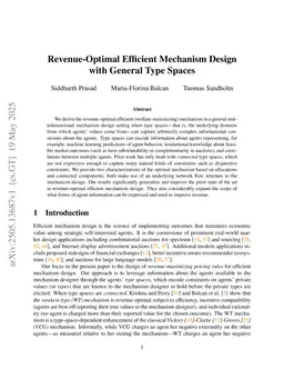 Revenue-Optimal Efficient Mechanism Design with General Type Spaces