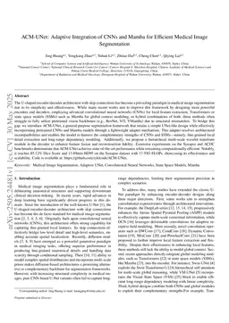 ACM-UNet: Adaptive Integration of CNNs and Mamba for Efficient Medical Image Segmentation