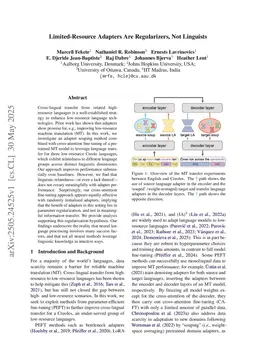 Limited-Resource Adapters Are Regularizers, Not Linguists