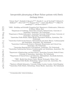 Interpretable phenotyping of Heart Failure patients with Dutch discharge letters