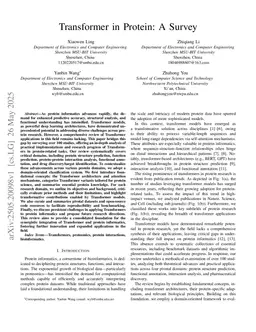Transformers in Protein: A Survey