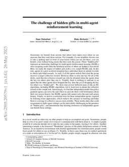 The challenge of hidden gifts in multi-agent reinforcement learning