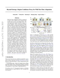 Beyond Entropy: Region Confidence Proxy for Wild Test-Time Adaptation