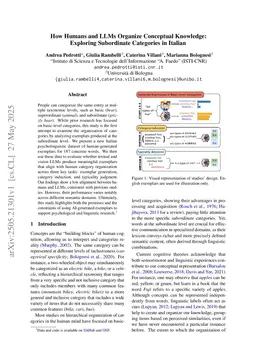 How Humans and LLMs Organize Conceptual Knowledge: Exploring Subordinate Categories in Italian