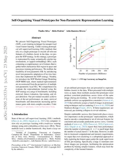 Self-Organizing Visual Prototypes for Non-Parametric Representation Learning
