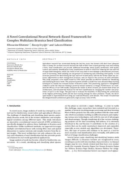 A Novel Convolutional Neural Network-Based Framework for Complex Multiclass Brassica Seed Classification