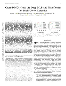 Cross-DINO: Cross the Deep MLP and Transformer for Small Object Detection