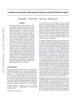 Continual Learning Beyond Experience Rehearsal and Full Model Surrogates