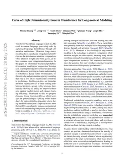 Curse of High Dimensionality Issue in Transformer for Long-context Modeling