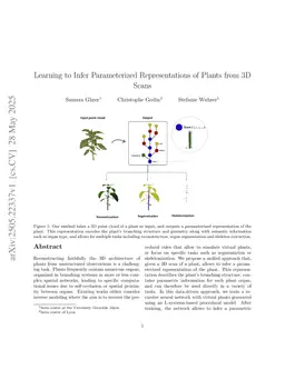Learning to Infer Parameterized Representations of Plants from 3D Scans