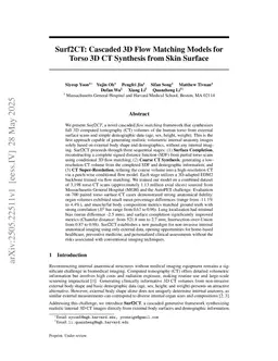 Surf2CT: Cascaded 3D Flow Matching Models for Torso 3D CT Synthesis from Skin Surface