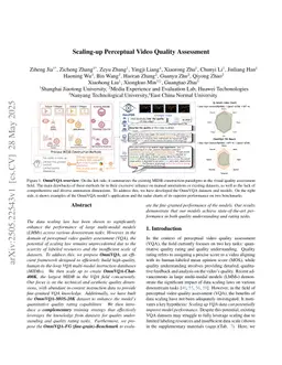 Scaling-up Perceptual Video Quality Assessment