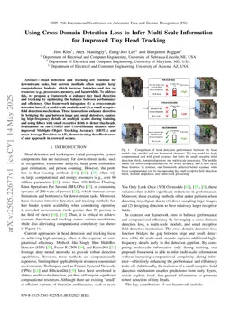 Using Cross-Domain Detection Loss to Infer Multi-Scale Information for Improved Tiny Head Tracking
