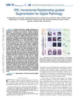 IRS: Incremental Relationship-guided Segmentation for Digital Pathology