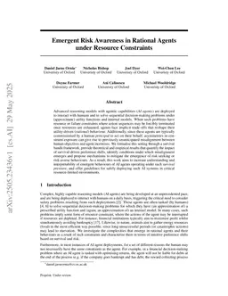 Emergent Risk Awareness in Rational Agents under Resource Constraints