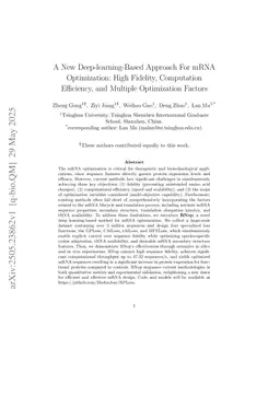 A New Deep-learning-Based Approach For mRNA Optimization: High Fidelity, Computation Efficiency, and Multiple Optimization Factors