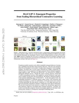 BioCLIP 2: Emergent Properties from Scaling Hierarchical Contrastive Learning