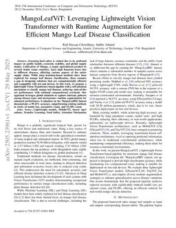 MangoLeafViT: Leveraging Lightweight Vision Transformer with Runtime Augmentation for Efficient Mango Leaf Disease Classification