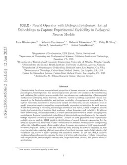 NOBLE -- Neural Operator with Biologically-informed Latent Embeddings to Capture Experimental Variability in Biological Neuron Models