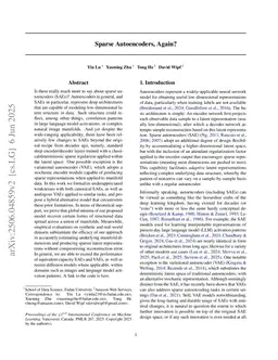 Sparse Autoencoders, Again?