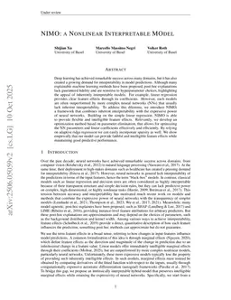 NIMO: a Nonlinear Interpretable MOdel