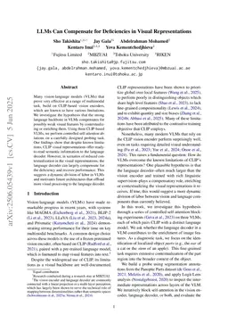 LLMs Can Compensate for Deficiencies in Visual Representations