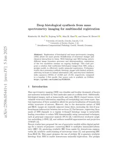 Deep histological synthesis from mass spectrometry imaging for multimodal registration