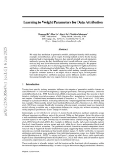 Learning to Weight Parameters for Training Data Attribution