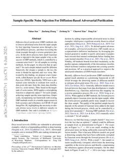 Sample-Specific Noise Injection For Diffusion-Based Adversarial Purification
